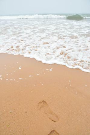 公司組織員工赴黃島、膠南兩日游